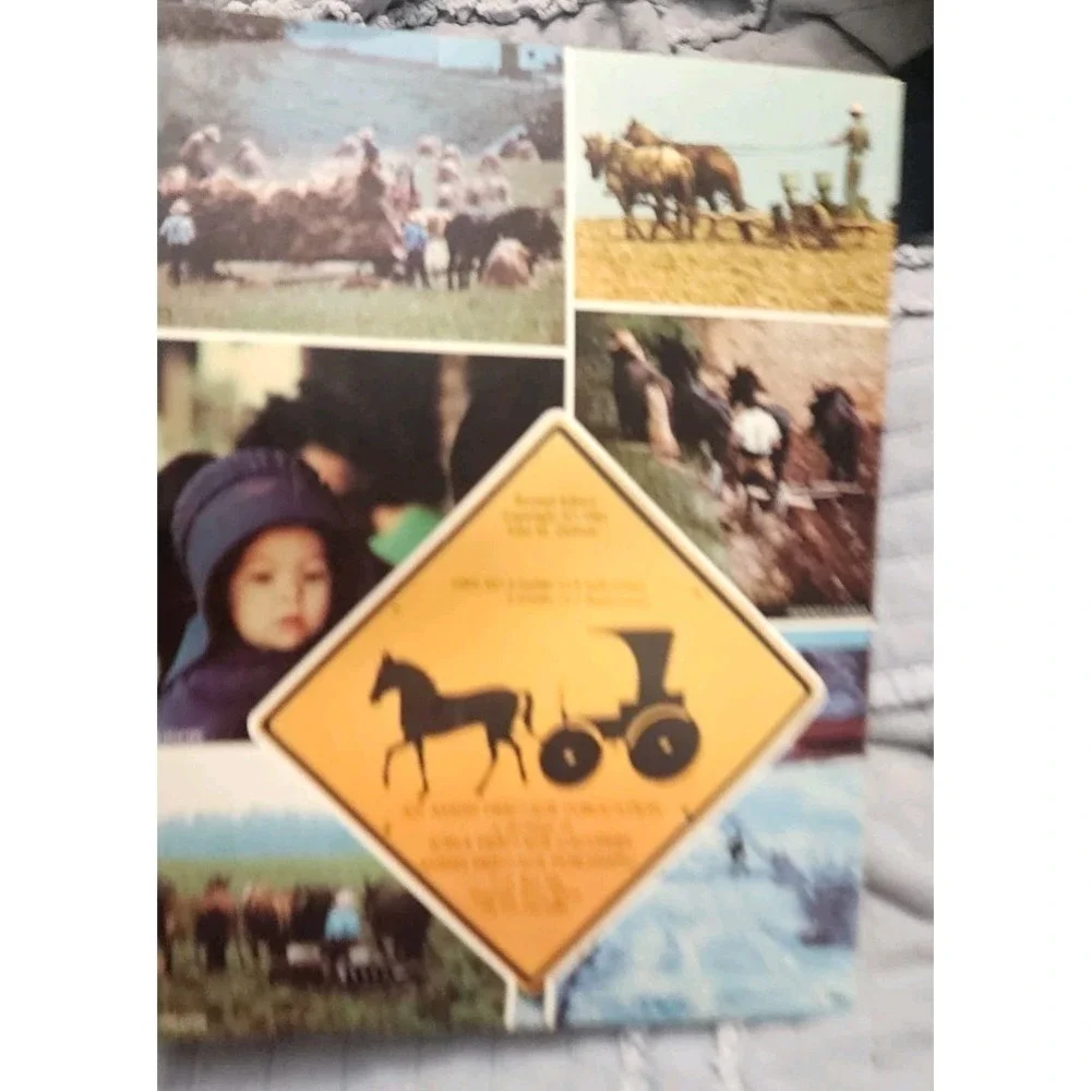 Collection of America's Amish Country Lot Of 2 Books Vtg The Amish Across Americ